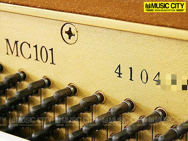 Music City – Tổng Kho Piano, Guitar, Organ | Dịch Vụ Giáo Dục Âm Nhạc