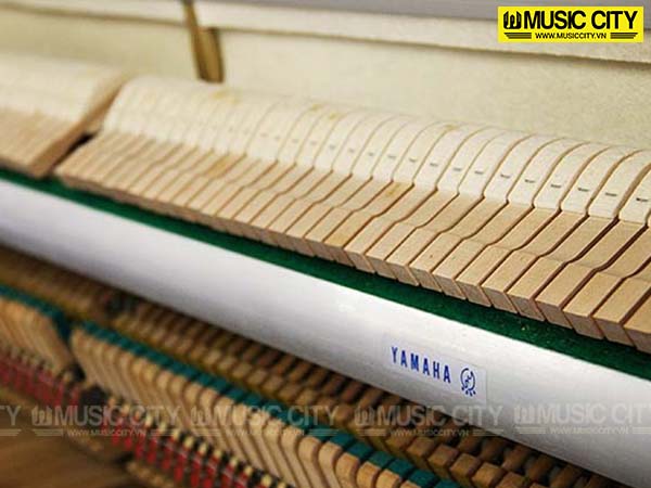 Music City – Tổng Kho Piano, Guitar, Organ | Dịch Vụ Giáo Dục Âm Nhạc