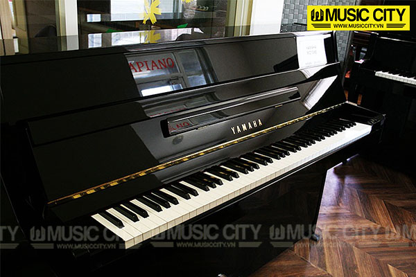 Music City – Tổng Kho Piano, Guitar, Organ | Dịch Vụ Giáo Dục Âm Nhạc