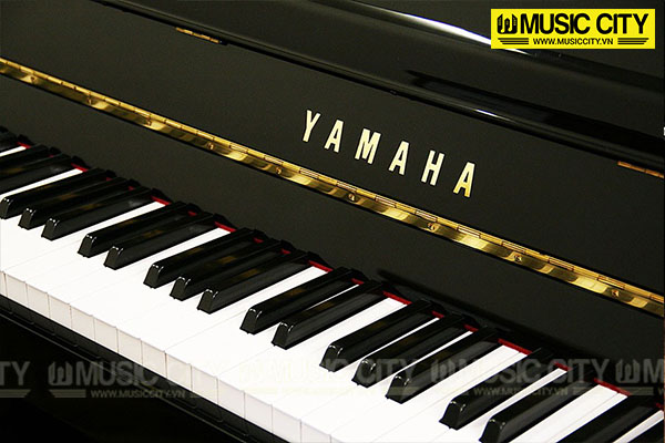 Music City – Tổng Kho Piano, Guitar, Organ | Dịch Vụ Giáo Dục Âm Nhạc