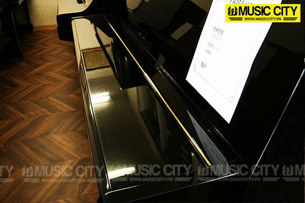 Music City – Tổng Kho Piano, Guitar, Organ | Dịch Vụ Giáo Dục Âm Nhạc