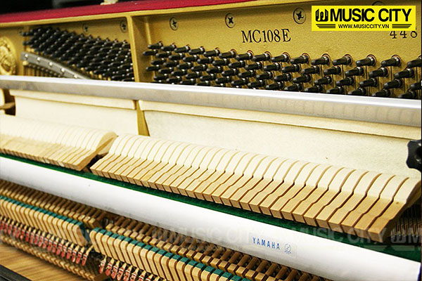 Music City – Tổng Kho Piano, Guitar, Organ | Dịch Vụ Giáo Dục Âm Nhạc