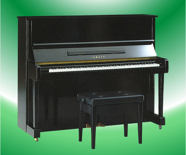 Music City – Tổng Kho Piano, Guitar, Organ | Dịch Vụ Giáo Dục Âm Nhạc