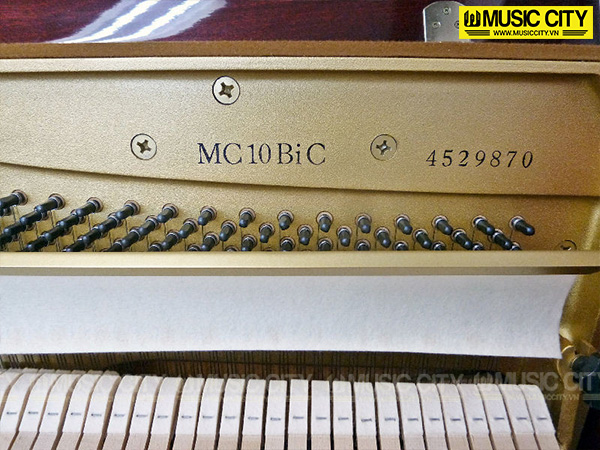 Music City – Tổng Kho Piano, Guitar, Organ | Dịch Vụ Giáo Dục Âm Nhạc