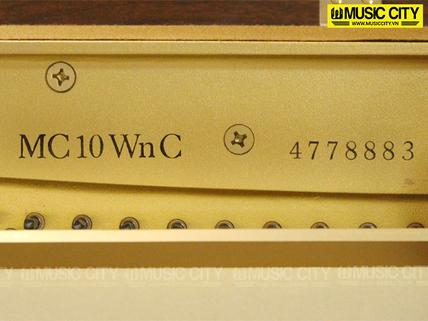 Music City – Tổng Kho Piano, Guitar, Organ | Dịch Vụ Giáo Dục Âm Nhạc