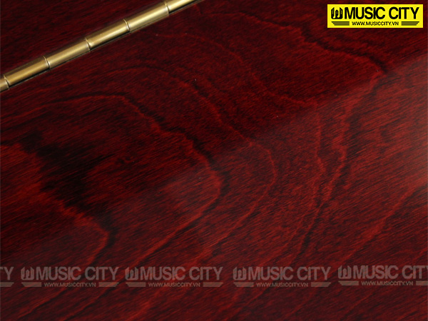 Music City – Tổng Kho Piano, Guitar, Organ | Dịch Vụ Giáo Dục Âm Nhạc