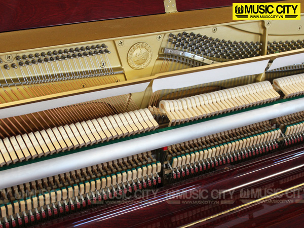 Music City – Tổng Kho Piano, Guitar, Organ | Dịch Vụ Giáo Dục Âm Nhạc