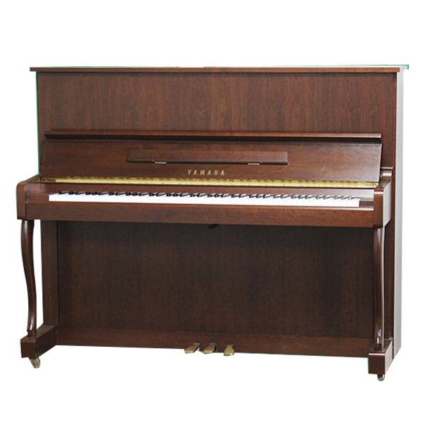 Music City – Tổng Kho Piano, Guitar, Organ | Dịch Vụ Giáo Dục Âm Nhạc
