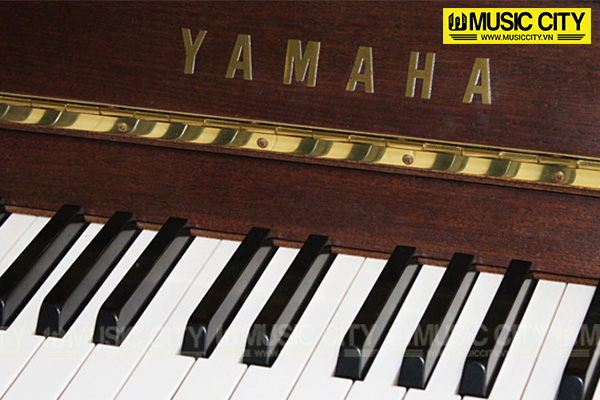 Music City – Tổng Kho Piano, Guitar, Organ | Dịch Vụ Giáo Dục Âm Nhạc