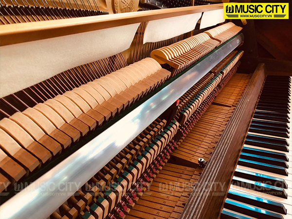 Music City – Tổng Kho Piano, Guitar, Organ | Dịch Vụ Giáo Dục Âm Nhạc
