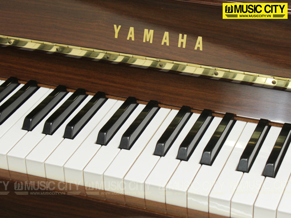 Music City – Tổng Kho Piano, Guitar, Organ | Dịch Vụ Giáo Dục Âm Nhạc