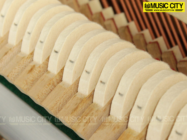 Music City – Tổng Kho Piano, Guitar, Organ | Dịch Vụ Giáo Dục Âm Nhạc