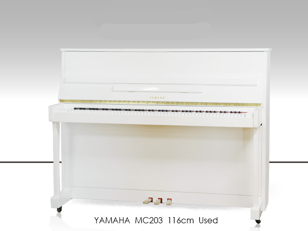 Music City – Tổng Kho Piano, Guitar, Organ | Dịch Vụ Giáo Dục Âm Nhạc