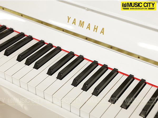 Music City – Tổng Kho Piano, Guitar, Organ | Dịch Vụ Giáo Dục Âm Nhạc