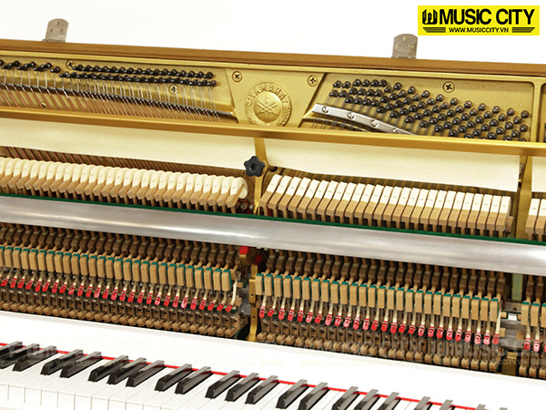 Music City – Tổng Kho Piano, Guitar, Organ | Dịch Vụ Giáo Dục Âm Nhạc