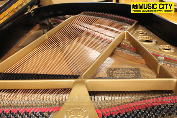 Music City – Tổng Kho Piano, Guitar, Organ | Dịch Vụ Giáo Dục Âm Nhạc