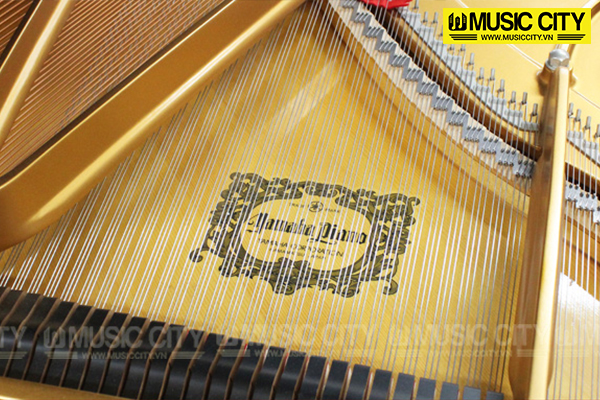 Music City – Tổng Kho Piano, Guitar, Organ | Dịch Vụ Giáo Dục Âm Nhạc