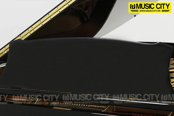 Music City – Tổng Kho Piano, Guitar, Organ | Dịch Vụ Giáo Dục Âm Nhạc
