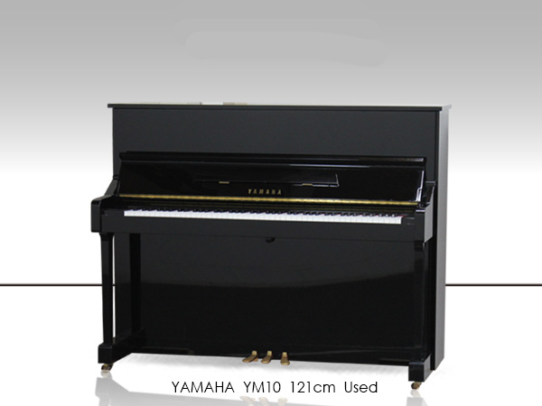 Music City – Tổng Kho Piano, Guitar, Organ | Dịch Vụ Giáo Dục Âm Nhạc