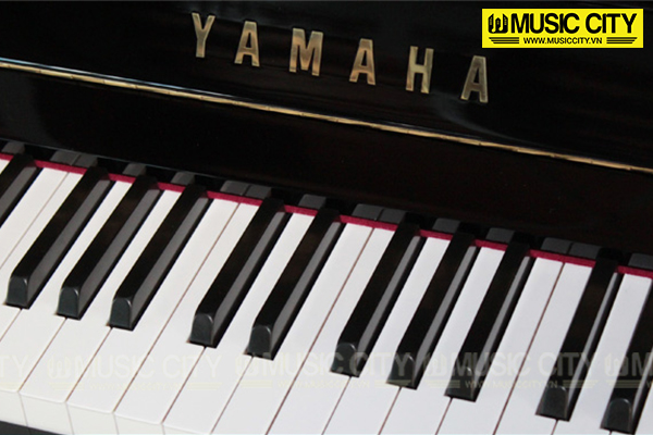 Music City – Tổng Kho Piano, Guitar, Organ | Dịch Vụ Giáo Dục Âm Nhạc
