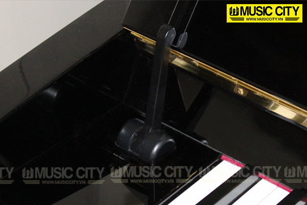 Music City – Tổng Kho Piano, Guitar, Organ | Dịch Vụ Giáo Dục Âm Nhạc