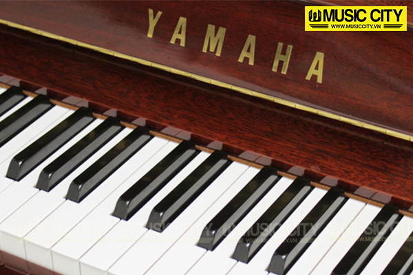 Music City – Tổng Kho Piano, Guitar, Organ | Dịch Vụ Giáo Dục Âm Nhạc
