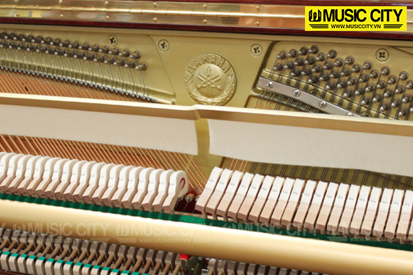 Music City – Tổng Kho Piano, Guitar, Organ | Dịch Vụ Giáo Dục Âm Nhạc