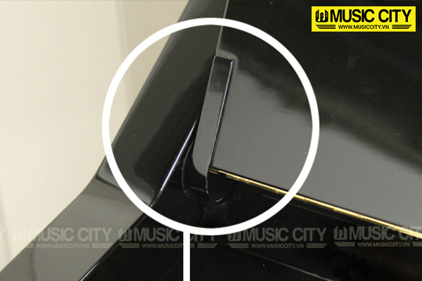 Music City – Tổng Kho Piano, Guitar, Organ | Dịch Vụ Giáo Dục Âm Nhạc