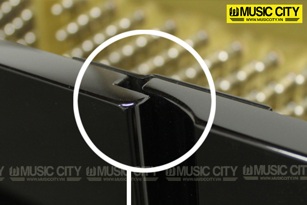 Music City – Tổng Kho Piano, Guitar, Organ | Dịch Vụ Giáo Dục Âm Nhạc