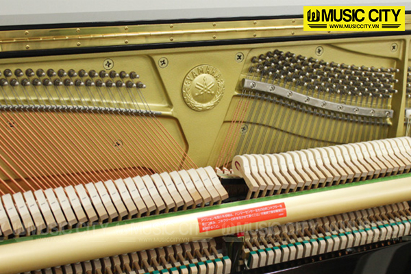 Music City – Tổng Kho Piano, Guitar, Organ | Dịch Vụ Giáo Dục Âm Nhạc