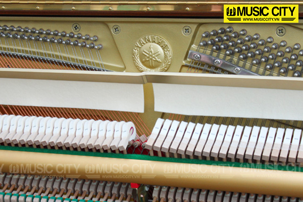 Music City – Tổng Kho Piano, Guitar, Organ | Dịch Vụ Giáo Dục Âm Nhạc