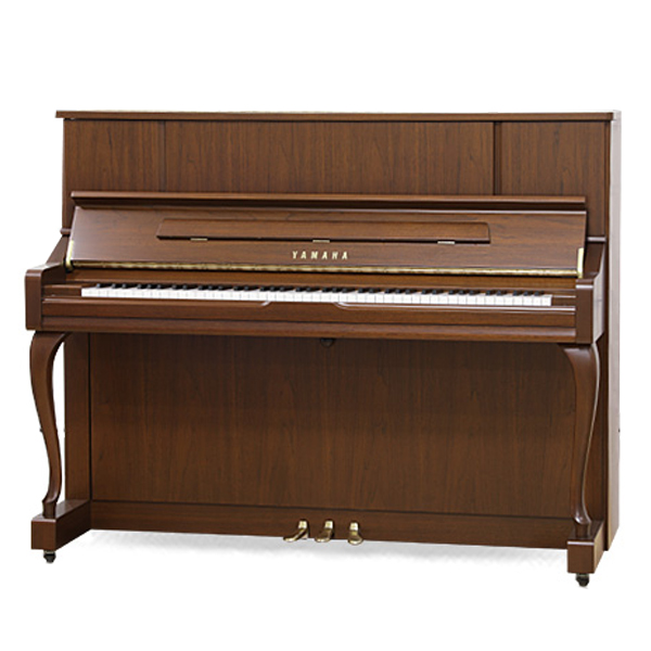 Music City – Tổng Kho Piano, Guitar, Organ | Dịch Vụ Giáo Dục Âm Nhạc