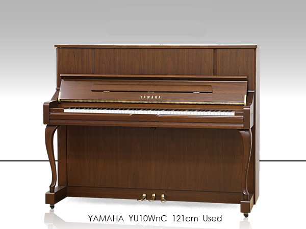 Music City – Tổng Kho Piano, Guitar, Organ | Dịch Vụ Giáo Dục Âm Nhạc