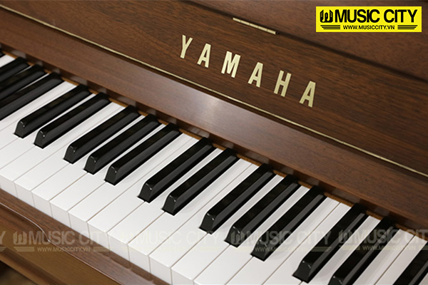 Music City – Tổng Kho Piano, Guitar, Organ | Dịch Vụ Giáo Dục Âm Nhạc