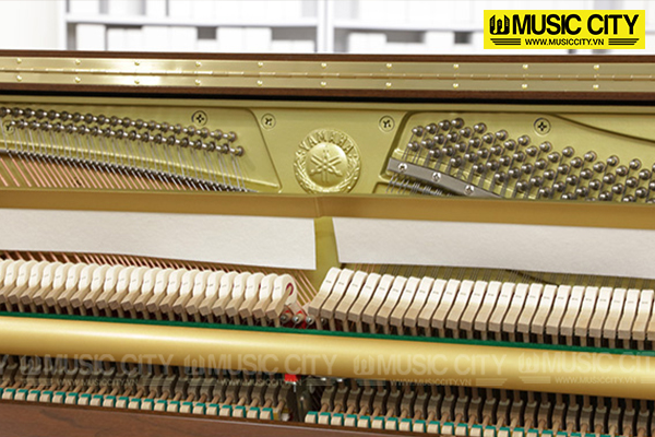 Music City – Tổng Kho Piano, Guitar, Organ | Dịch Vụ Giáo Dục Âm Nhạc