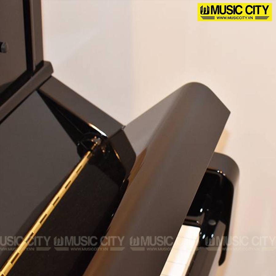 Music City – Tổng Kho Piano, Guitar, Organ | Dịch Vụ Giáo Dục Âm Nhạc