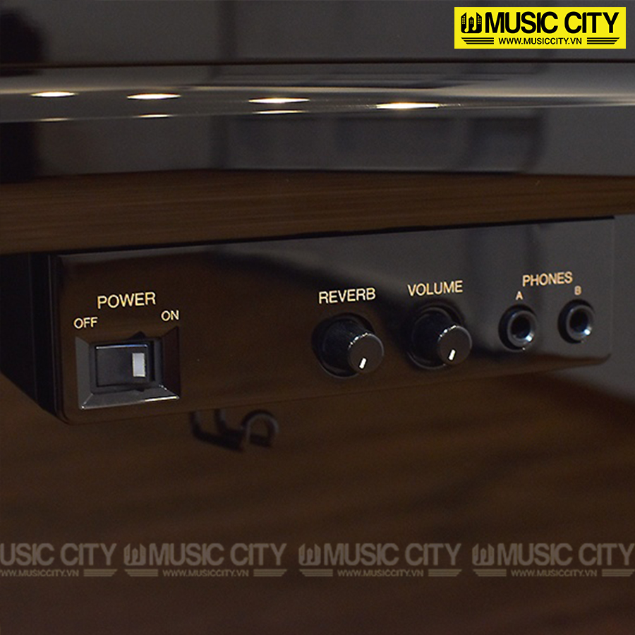 Music City – Tổng Kho Piano, Guitar, Organ | Dịch Vụ Giáo Dục Âm Nhạc