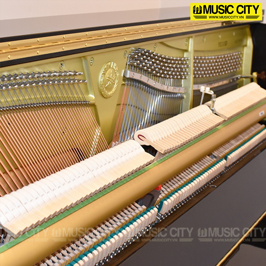 Music City – Tổng Kho Piano, Guitar, Organ | Dịch Vụ Giáo Dục Âm Nhạc
