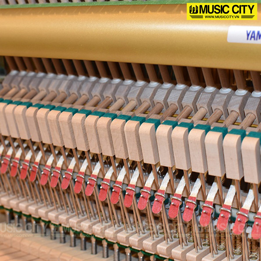 Music City – Tổng Kho Piano, Guitar, Organ | Dịch Vụ Giáo Dục Âm Nhạc