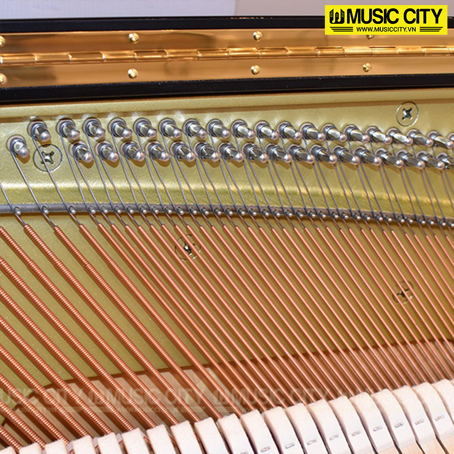 Music City – Tổng Kho Piano, Guitar, Organ | Dịch Vụ Giáo Dục Âm Nhạc