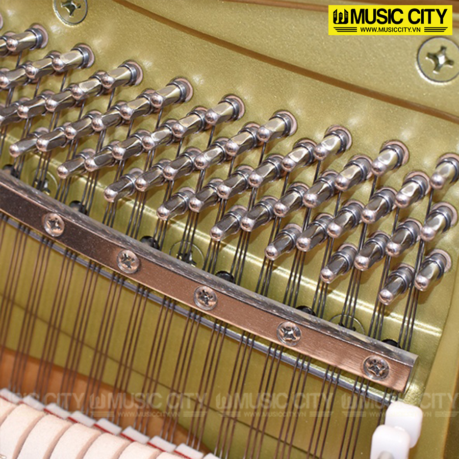 Music City – Tổng Kho Piano, Guitar, Organ | Dịch Vụ Giáo Dục Âm Nhạc