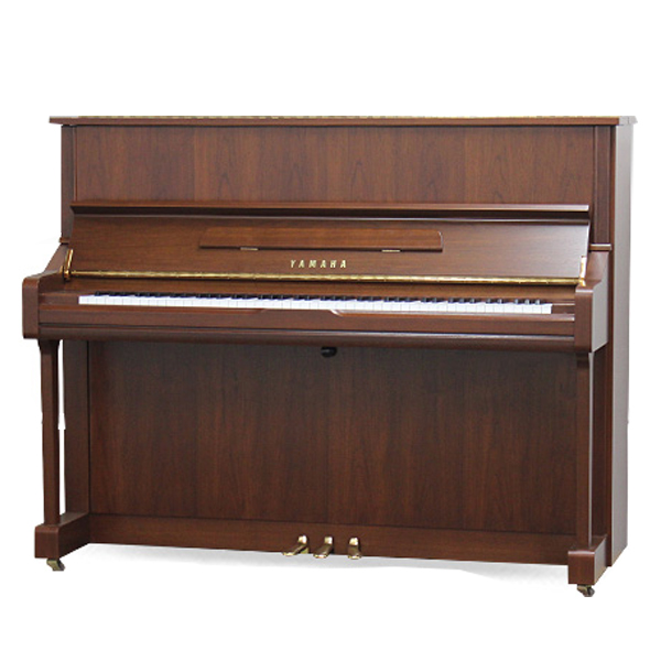 Music City – Tổng Kho Piano, Guitar, Organ | Dịch Vụ Giáo Dục Âm Nhạc
