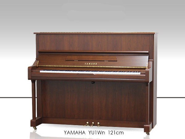 Music City – Tổng Kho Piano, Guitar, Organ | Dịch Vụ Giáo Dục Âm Nhạc
