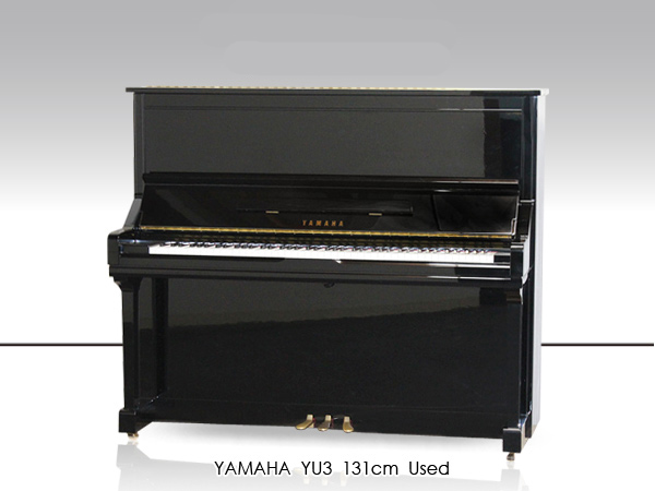 Music City – Tổng Kho Piano, Guitar, Organ | Dịch Vụ Giáo Dục Âm Nhạc
