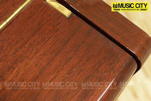 Music City – Tổng Kho Piano, Guitar, Organ | Dịch Vụ Giáo Dục Âm Nhạc