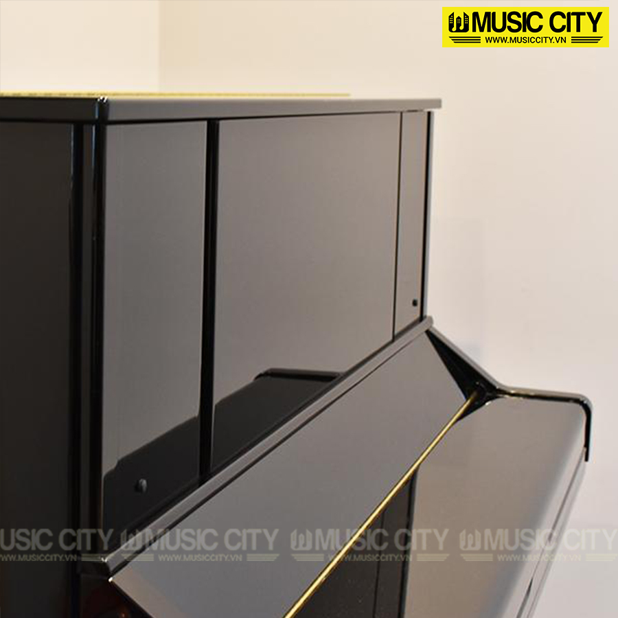 Music City – Tổng Kho Piano, Guitar, Organ | Dịch Vụ Giáo Dục Âm Nhạc