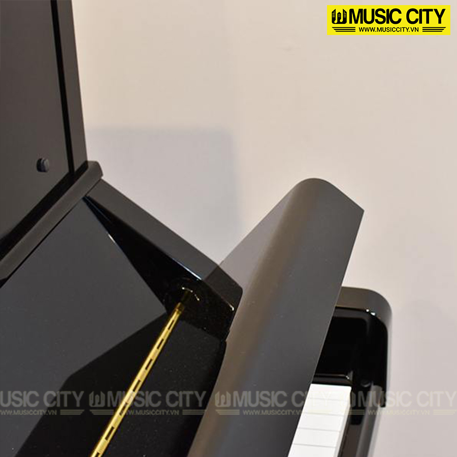 Music City – Tổng Kho Piano, Guitar, Organ | Dịch Vụ Giáo Dục Âm Nhạc