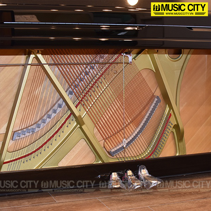 Music City – Tổng Kho Piano, Guitar, Organ | Dịch Vụ Giáo Dục Âm Nhạc