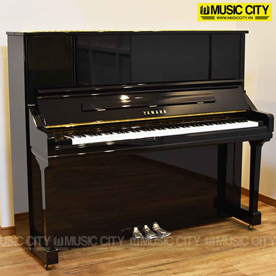 Music City – Tổng Kho Piano, Guitar, Organ | Dịch Vụ Giáo Dục Âm Nhạc
