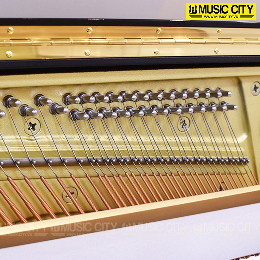 Music City – Tổng Kho Piano, Guitar, Organ | Dịch Vụ Giáo Dục Âm Nhạc